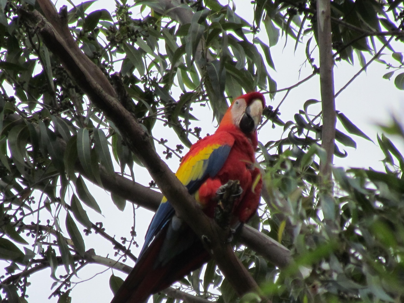 WhatsApp Image 2024-06-26 at 9.38.26 AM